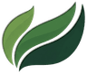 Merchantora Logo